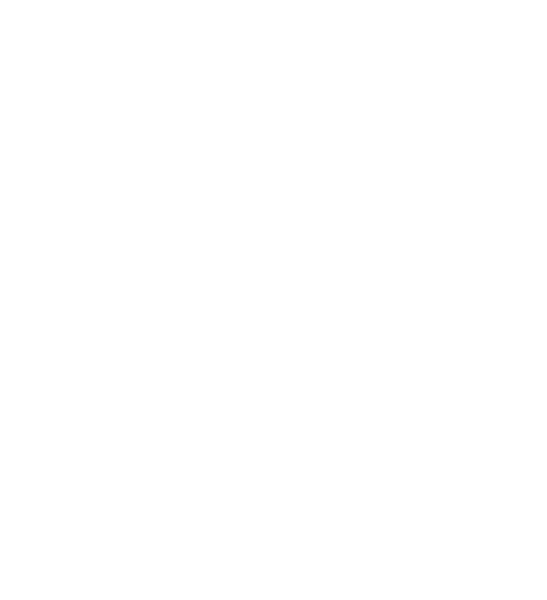 Zrkadlo Regiónu